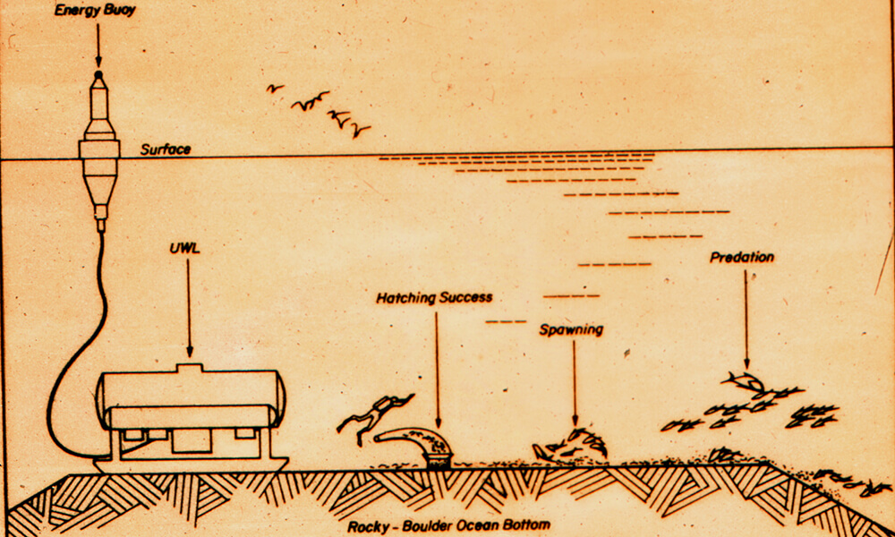 Drawing showing how Helgoland was utilized